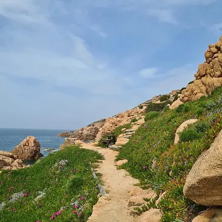 Casa Rita فيلة كوستا باراديسو